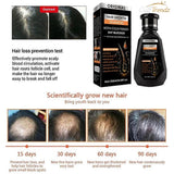 Frombo Advanced Hair Growth Shampoo – Biotin & DHT Blocker for Thicker, Stronger & Healthier Hair (250ml)